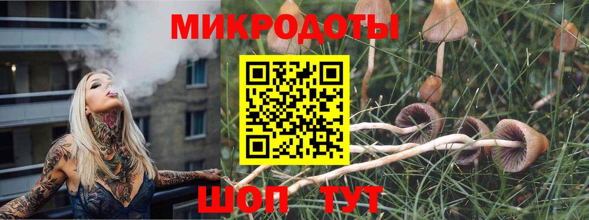 Псилоцибиновые грибы мухоморы  Гурьевск  Галлюциногенные грибы GOLDEN TEACHER 