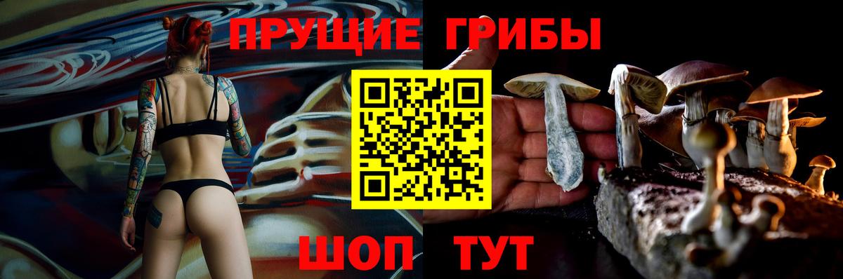 Псилоцибиновые грибы ЛСД Гурьевск