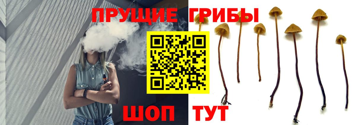 Гурьевск  Псилоцибиновые грибы мухоморы  Вход с VPN 